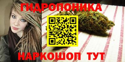 скорость Шебекино