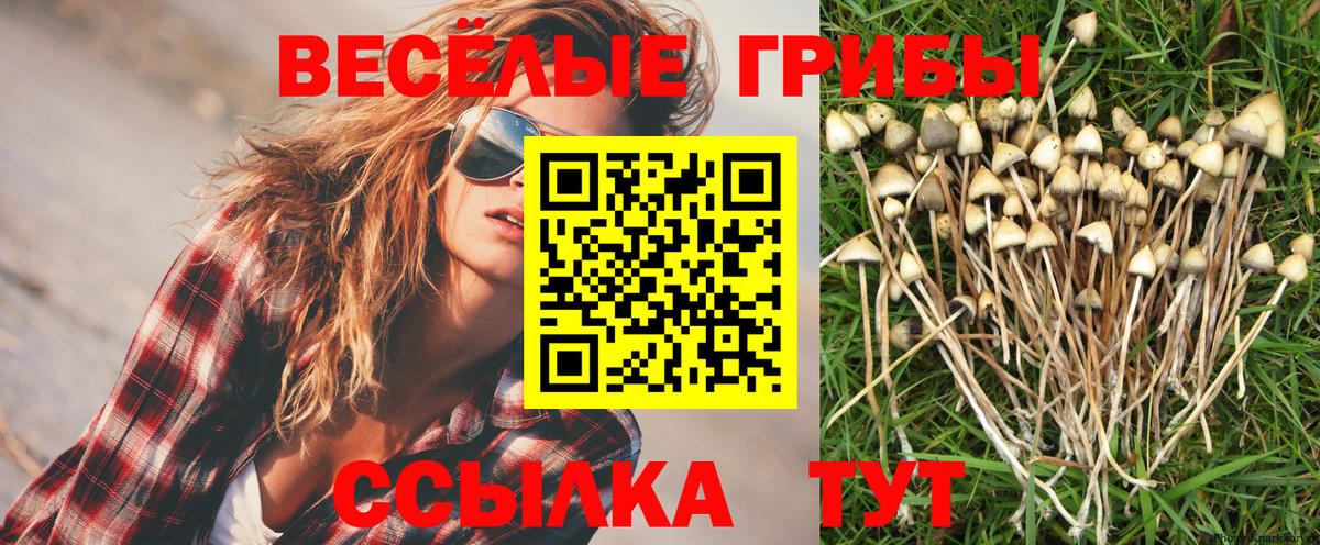  Кокаин Тихвин