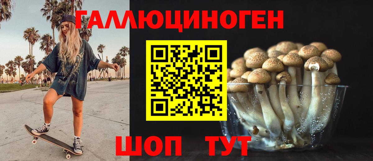 наркотики  Галлюциногенные грибы Psilocybe  Вход с VPN  Тихвин 