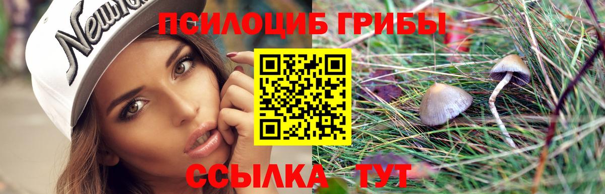 Галлюциногенные грибы прущие грибы Тихвин